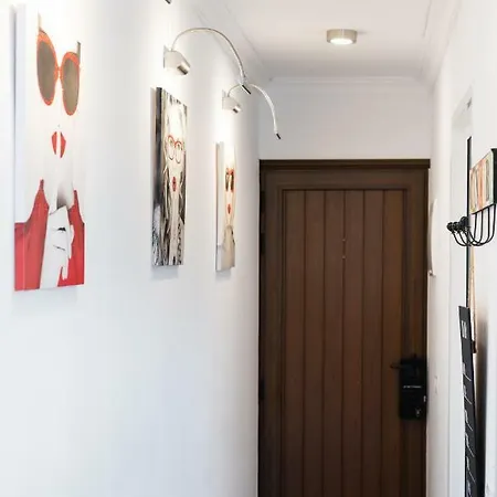 Apartment Universe